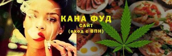 гашик Пестово
