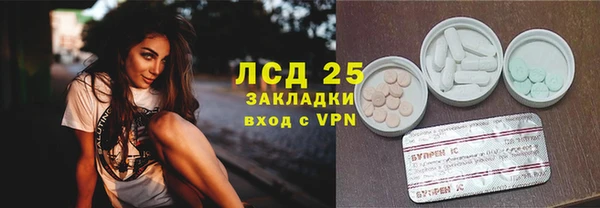 гашик Пестово