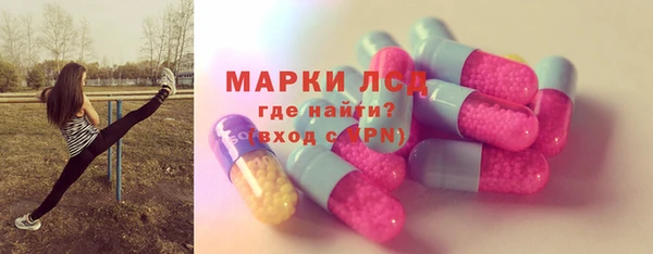 гашик Пестово
