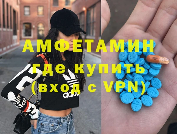гашик Пестово