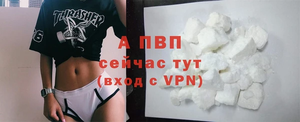 гашик Пестово