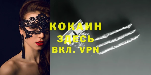 PSILOCYBIN Переславль-Залесский