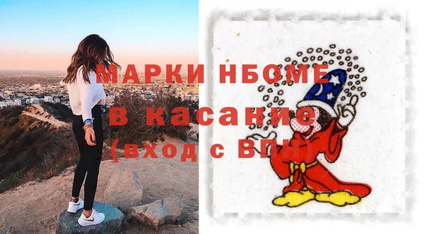 гашик Пестово