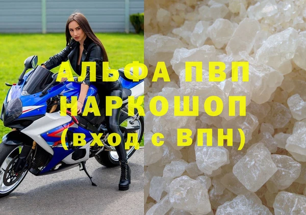 гашик Пестово